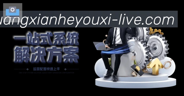 奖项2